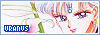 100x35 Button